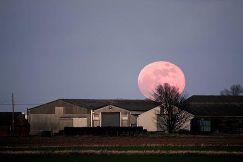 Ingyenes stockfotó emelkedő hold, hold, mezőgazdasági földterület témában