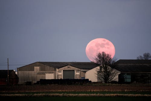 Kostenloses Stock Foto zu ackerland, aufgehender mond, blutmond