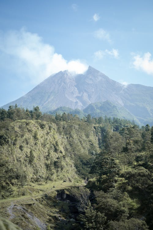 Green Trees and Mountain Under Blue Sky