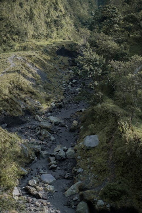 A Rocky River in the Countryside