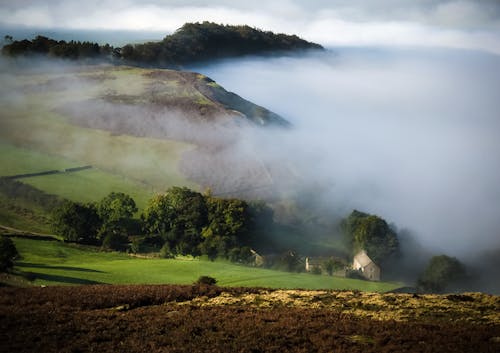 Immagine gratuita di alberi, campagna, cloud