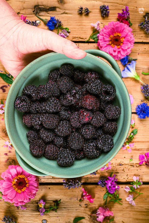 Gratis lagerfoto af blackberries, frugt, hænder menneskelige hænder