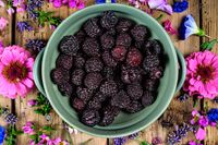 Fresh blackberries in a bowl seen from above — photo by Jana Ohajdova on Pexels