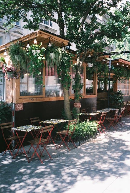 Sidewalk Cafe under a Tree 