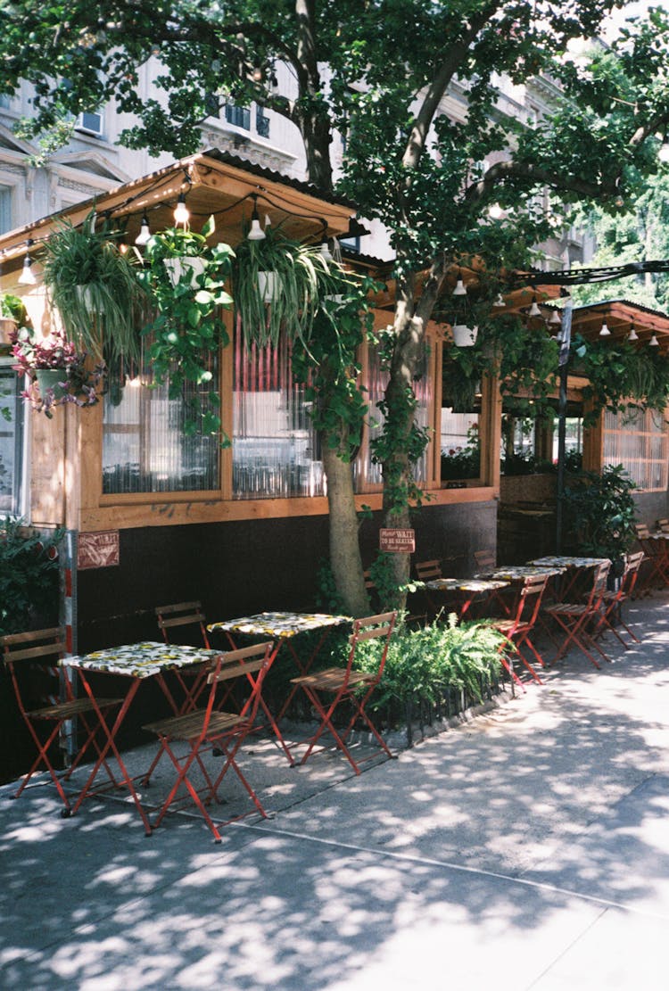 Sidewalk Cafe Under A Tree 