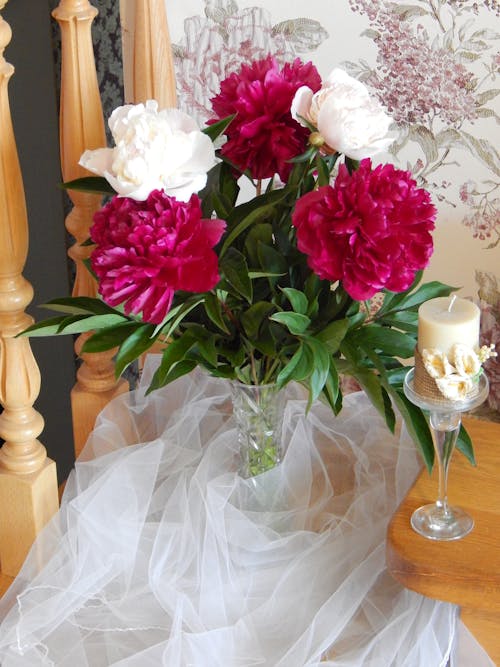 Pink and White Peony Flowers in Clear Glass Vase on a Wooden Surface