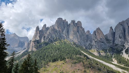 Woods and Rocky Mountains