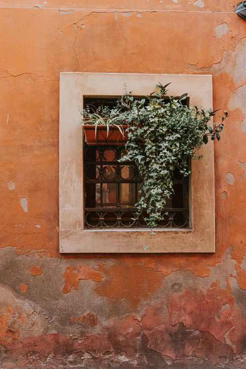 Free A picturesque window in Verona, Italy with lush greenery spilling over the sill. Stock Photo