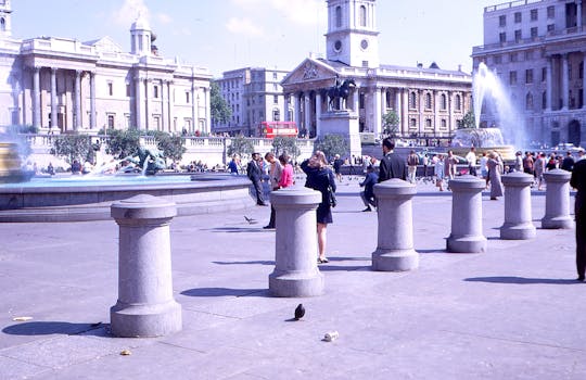 Nelson, New Zealand photo 9