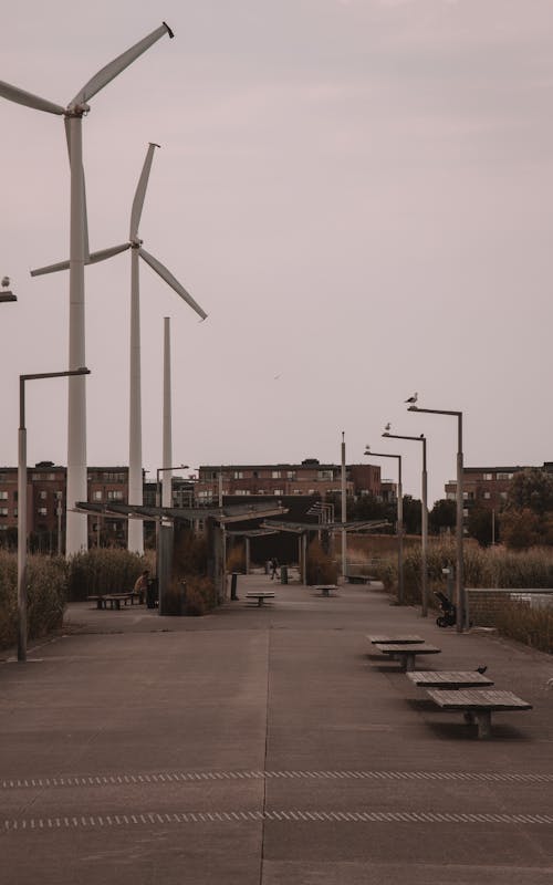 Windmills on City Pier 