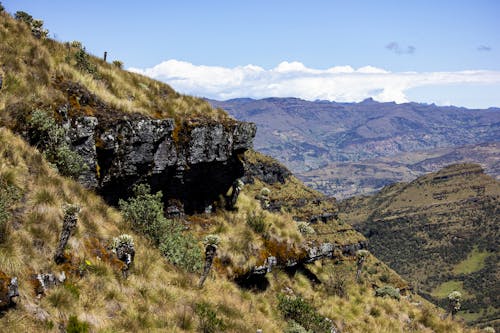 South American Moorland (AKA páramo)