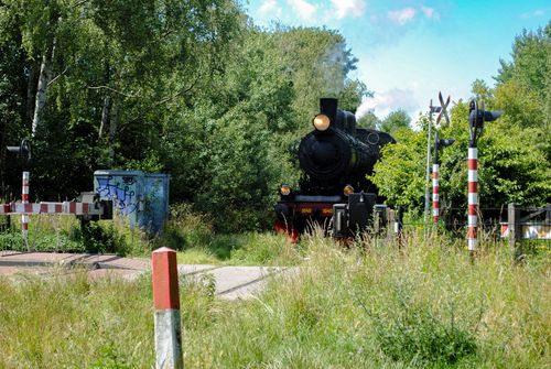 Free Steam locomotive crossing in Kerkrade's green landscape on a sunny day. Stock Photo