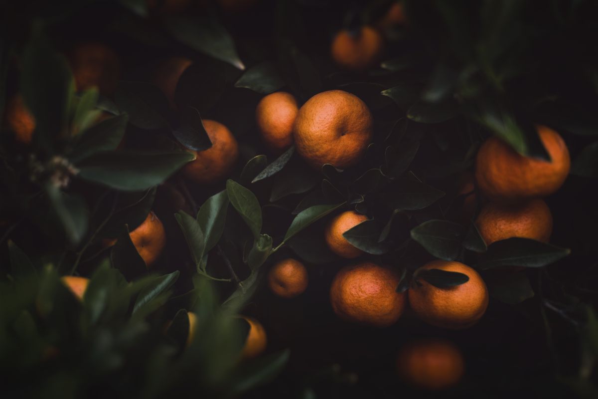 Whole fruit