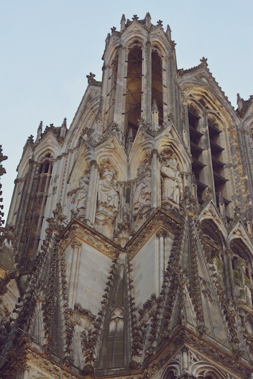 Immagine gratuita di antico, cattedrale, cattedrale di reims