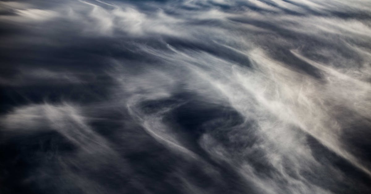 Skyborn 1 image text