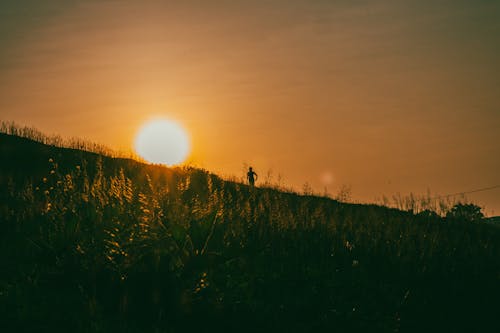 Free Silhouette of Person Standing on a Hill during Sunset Stock Photo