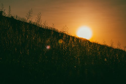 Δωρεάν στοκ φωτογραφιών με goldenhour, Ανατολή ηλίου, αυγή Φωτογραφία από στοκ φωτογραφιών