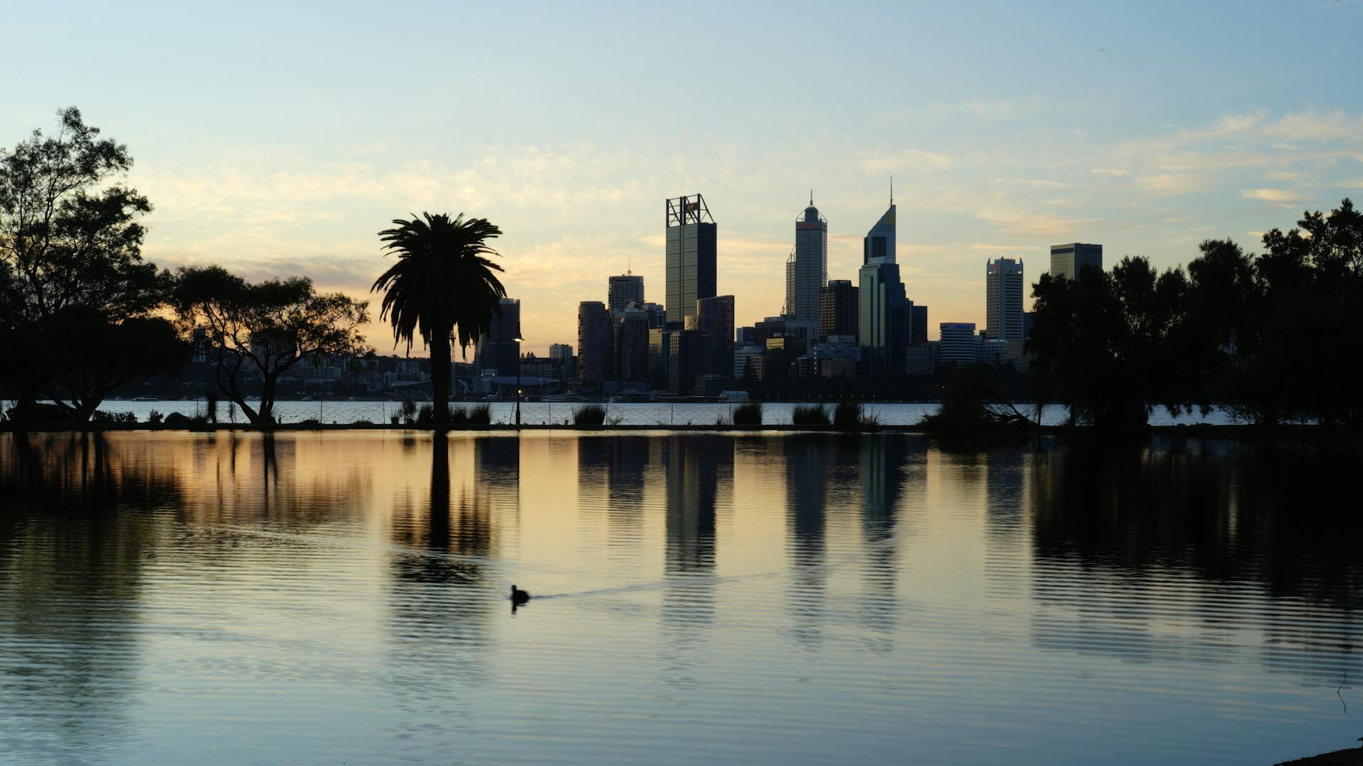 Peaceful sunset view of Perth skyline with palm trees and waterfront reflections.