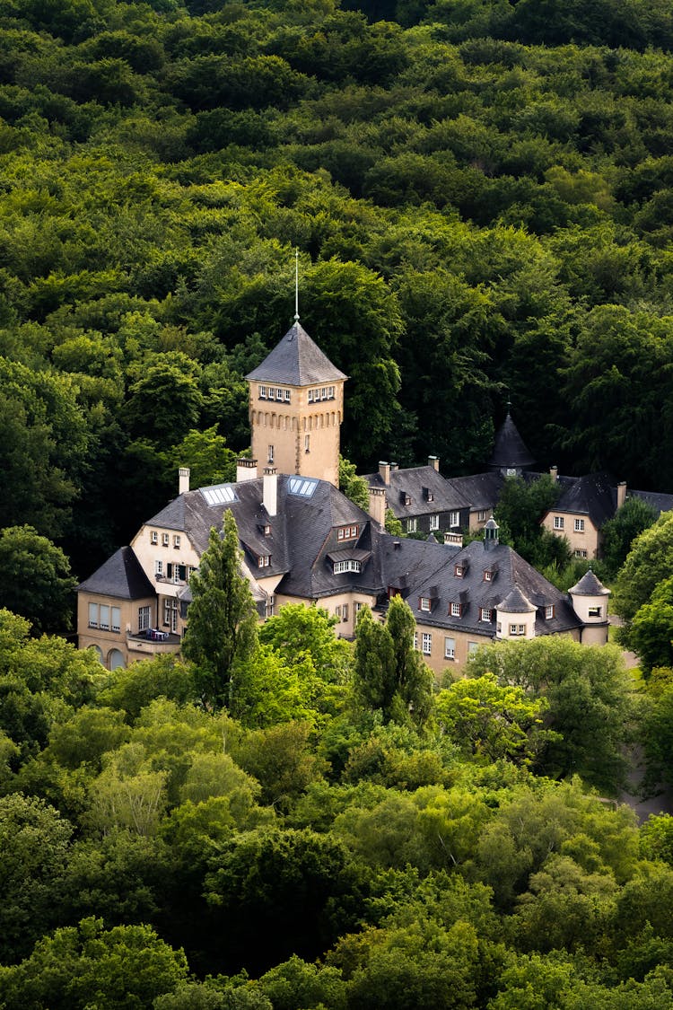 Mansion In Forest