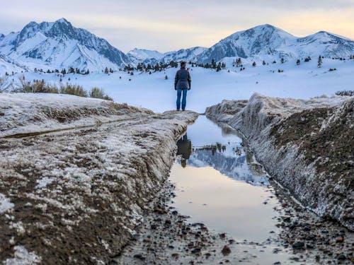 A Person Standing on Snow Covered Ground