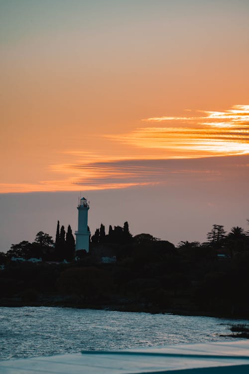 ağaçlar, deniz, deniz feneri içeren Ücretsiz stok fotoğraf