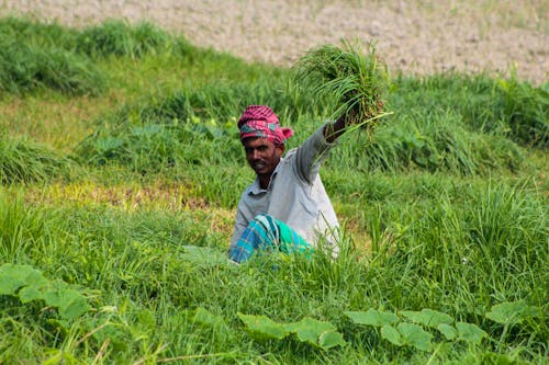 A Man Farming on Grass Field