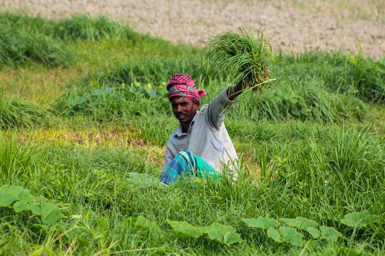 A Man Farming On Grass Field