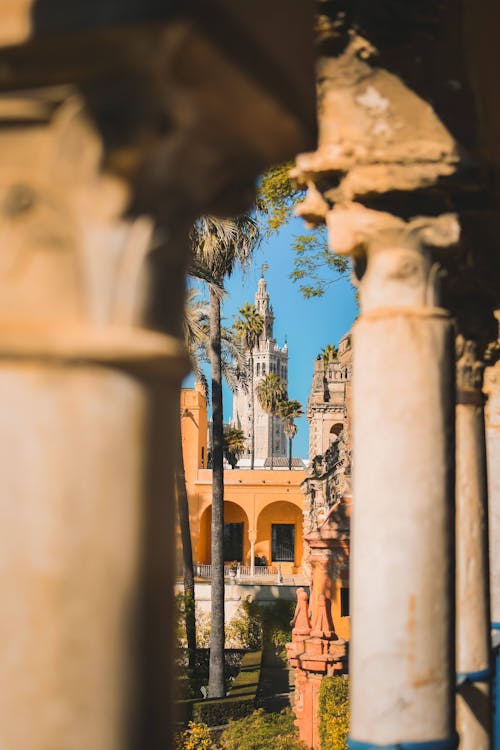 Photos gratuites de alcazar, colonnes, destination de voyage