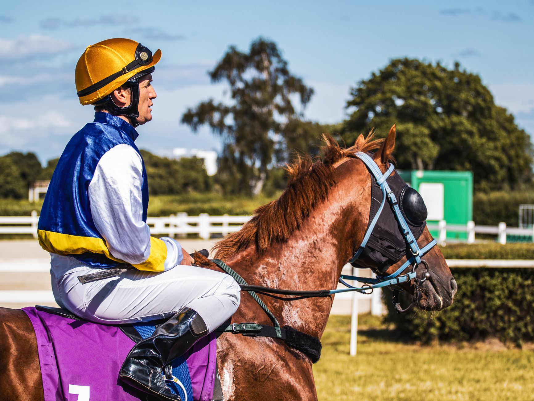 Side view of a jockey on a brown horse during a sunny day at a racetrack.
