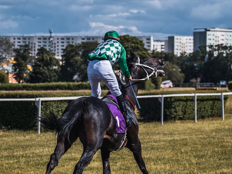 Back View Of A Person Riding On A Black Horse