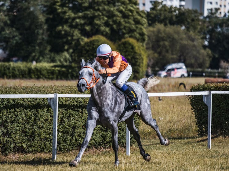 Jockey Racing On Horse