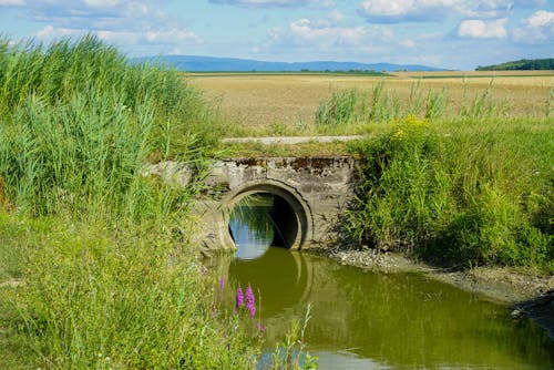 Photos gratuites de canal, clairière, eau