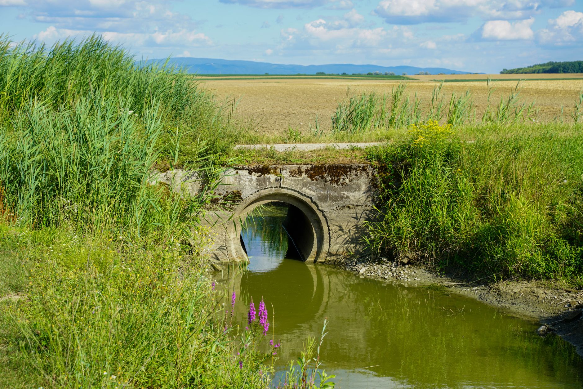 A tranquil rural scene showcasing a canal surrounded by vibrant greenery and open fields under a blue sky.