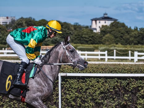 In the dynamic world of sports betting, the unexpe