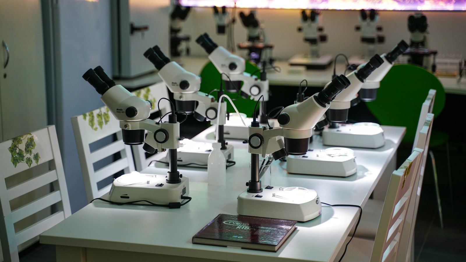 A modern laboratory full of microscopes, ready for scientific research and study.