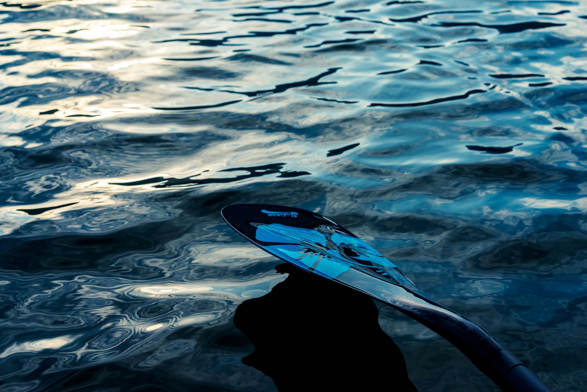 Best Water Sports Accessories 2026: Goggles, Fins & Gloves
