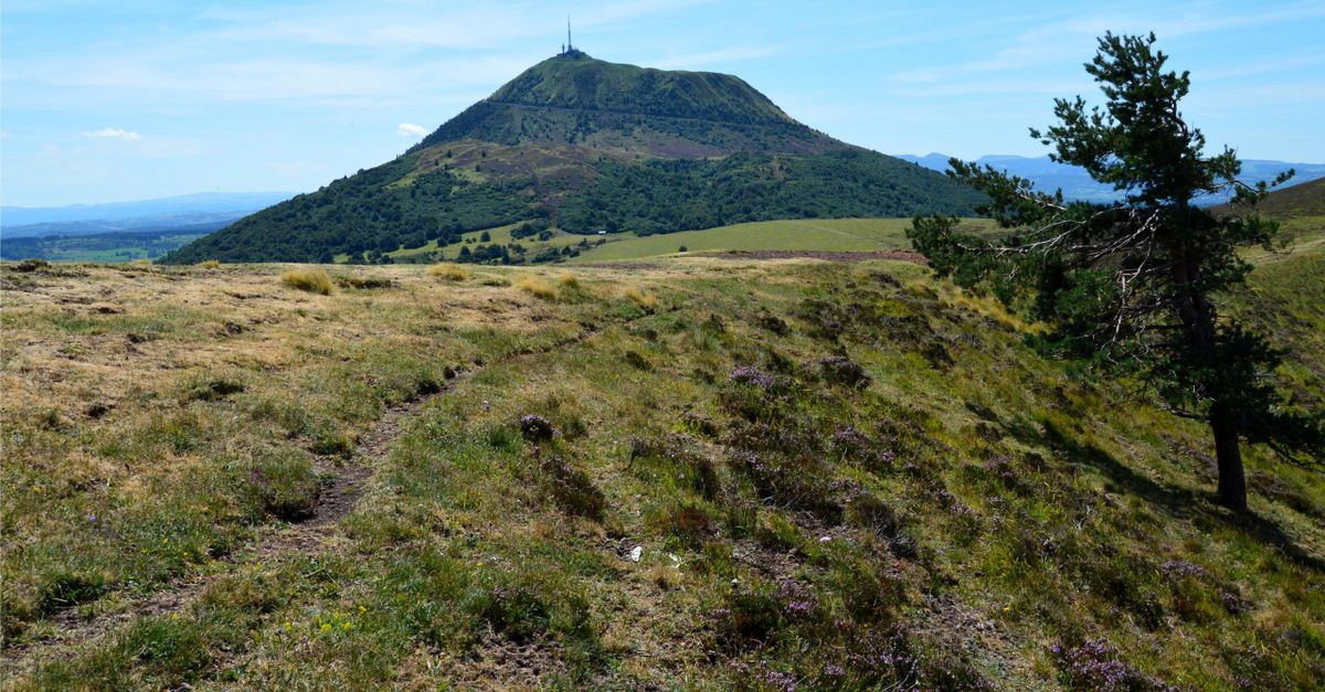 Vue paisible de montagne avec des collines herbeuses et un arbre solitaire sous un ciel bleu clair.
