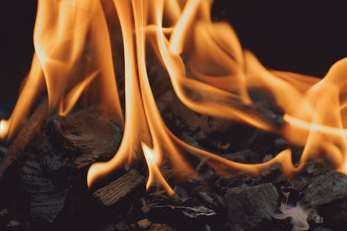升火的木柴, 大火, 火 的 免费素材图片