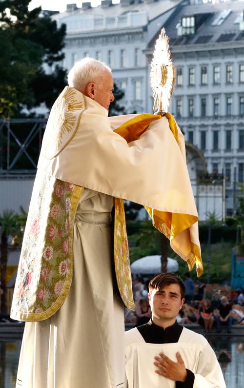 Free A catholic bishop conducting a religious mass outdoors in Vienna, Austria. Stock Photo