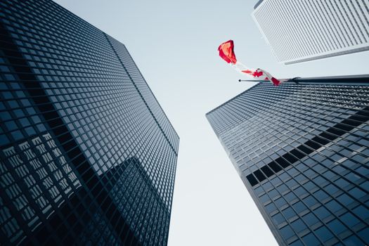 Low angle view of towering skyscrapers and Canadian flag in a modern urban environment.