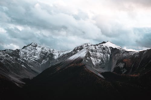 Fotos de stock gratuitas de Canadá, cielo nublado, cubierto de nieve
