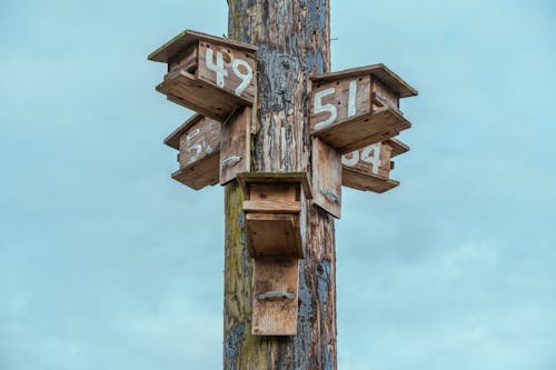 Fotobanka s bezplatnými fotkami na tému birdhouses, čísla, drevený
