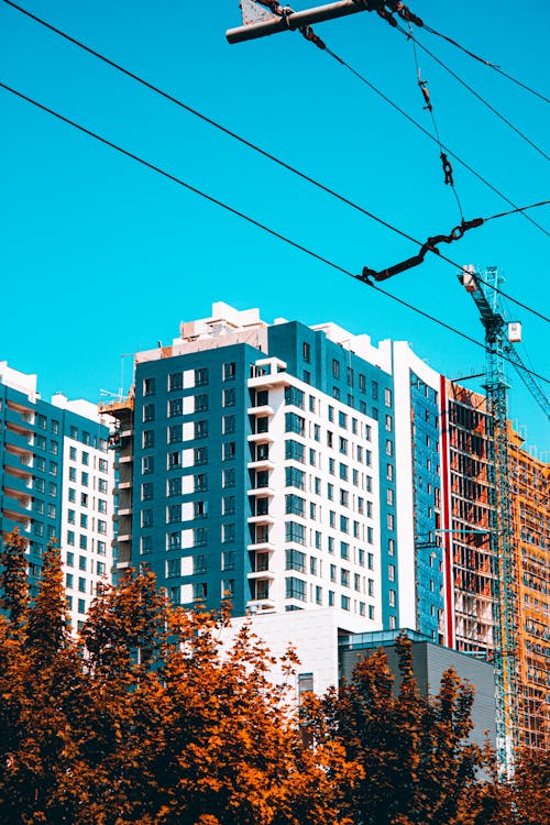 Power Lines over Trees in City