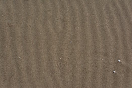 A textured sand surface creating natural ripples complemented by small shells.