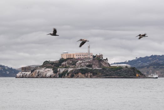 Alcatraz Island in San Francisco Bay with seagulls flying above on a cloudy day.