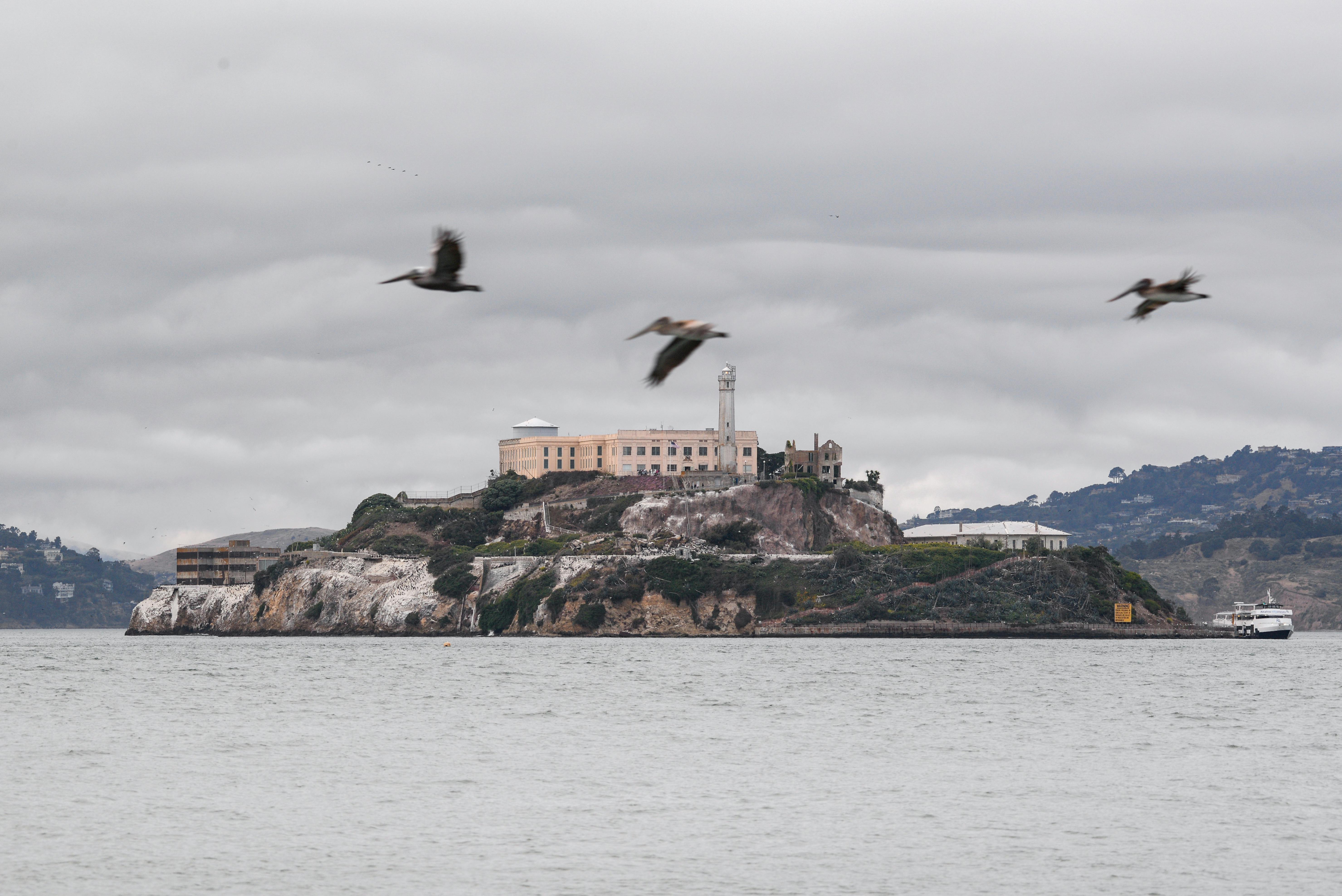 Alcatraz Prison Stock Photo - Download Image Now - Alcatraz Island, Prison,  Escaping - iStock