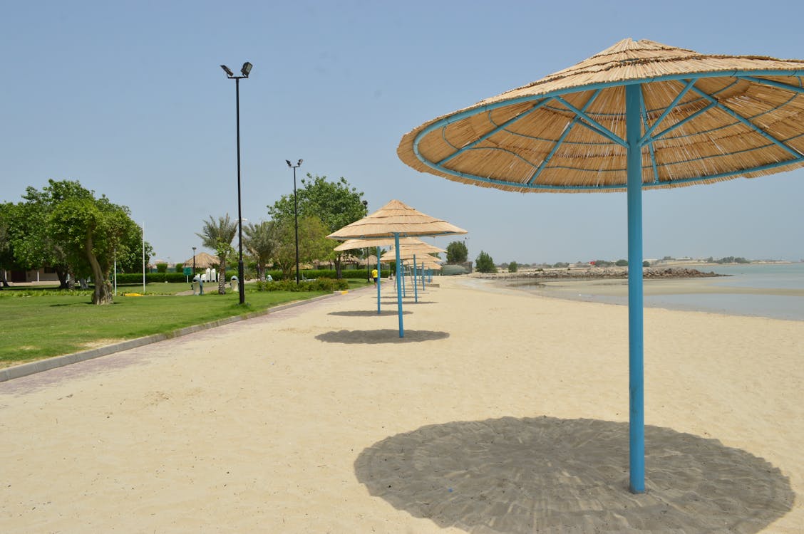 Umbrellas on a Beach · Free Stock Photo