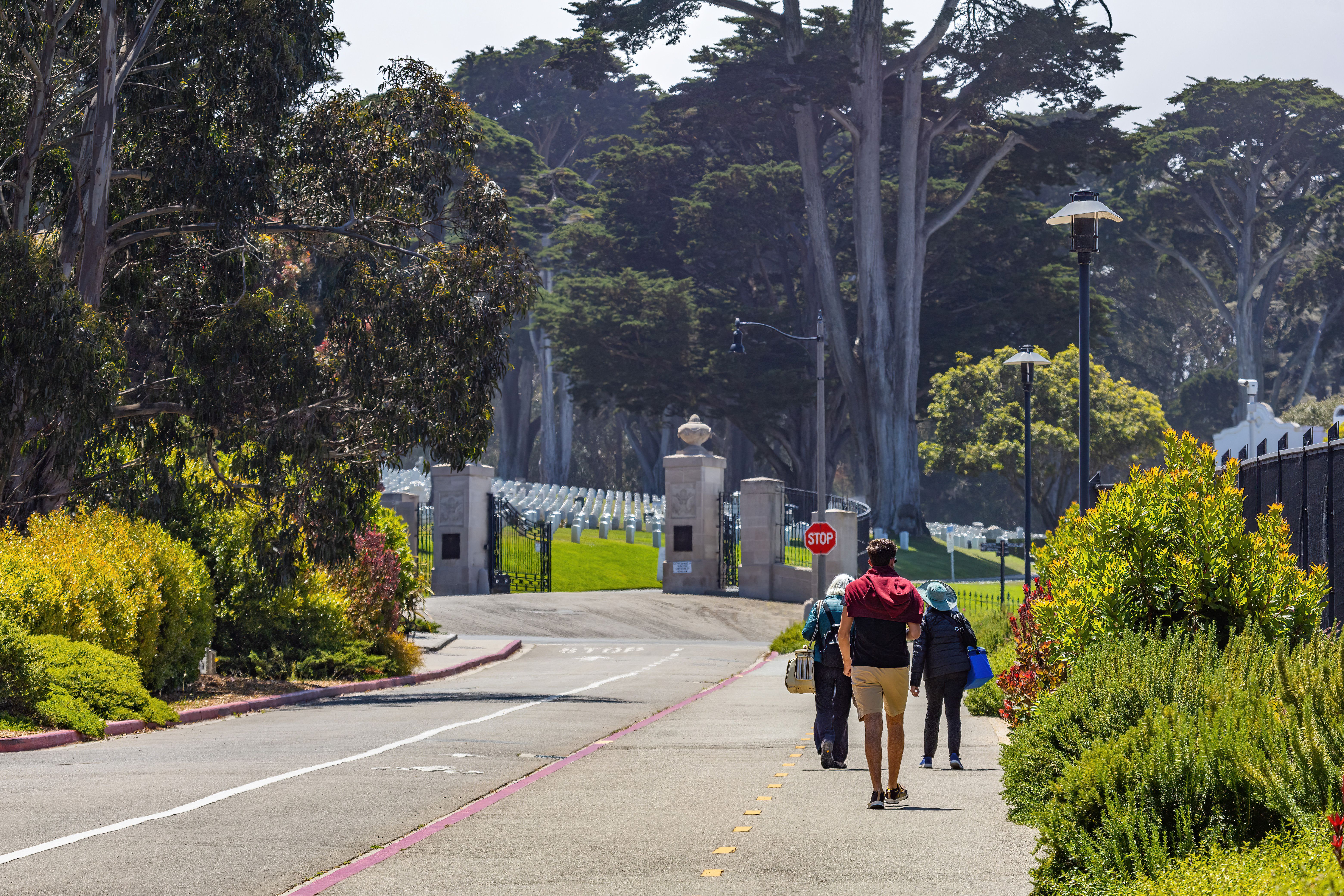 21 Memorial Day Weekend Travel Deals to Secure Before Summer Kicks Off — Photo by Robert So on Pexels