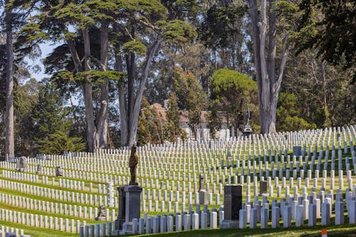 Tombstones under Trees in Cemetery 