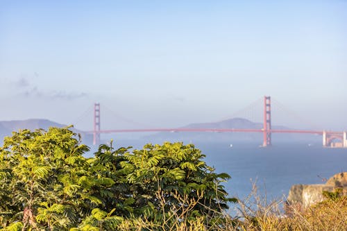 Fotobanka s bezplatnými fotkami na tému Golden Gate Bridge, konštrukcia, kopec
